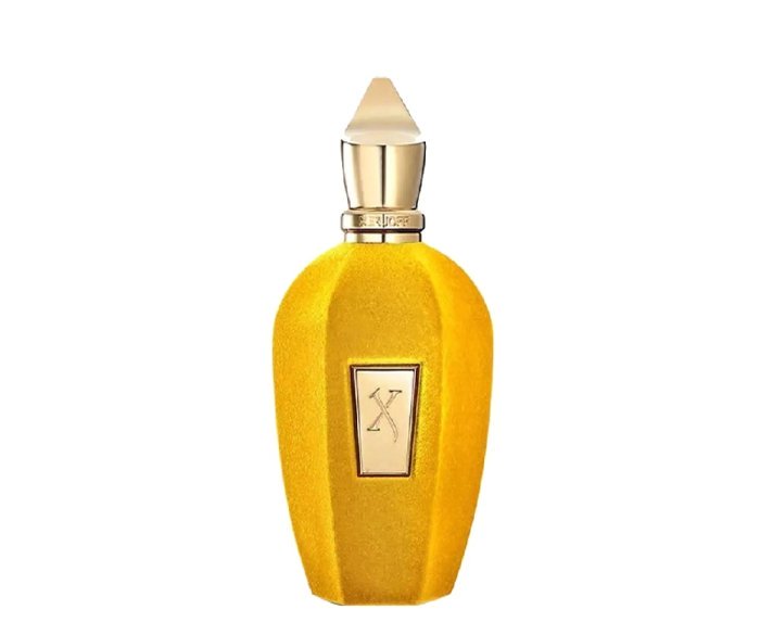 XERJOFF-Erba-Gold-100ml-Unisex-Tester-Parfum-resim-1079.jpg